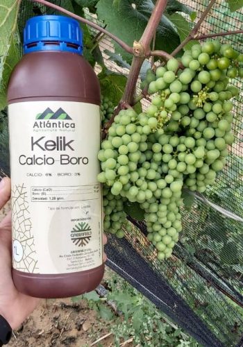 WhatsApp Image 2020-01-07 at 17.12.31 (1)