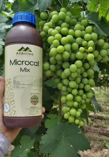 WhatsApp Image 2020-01-07 at 17.12.32 (2)