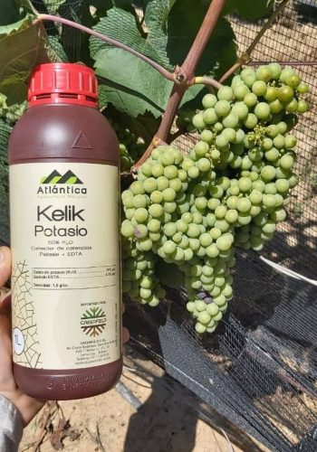 WhatsApp Image 2020-01-07 at 17.12.33 (2)