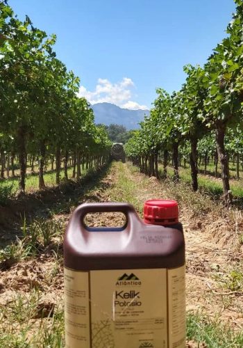 WhatsApp Image 2020-01-07 at 17.12.34